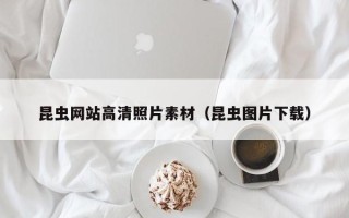 清远昆虫网站高清照片素材（昆虫图片下载）
